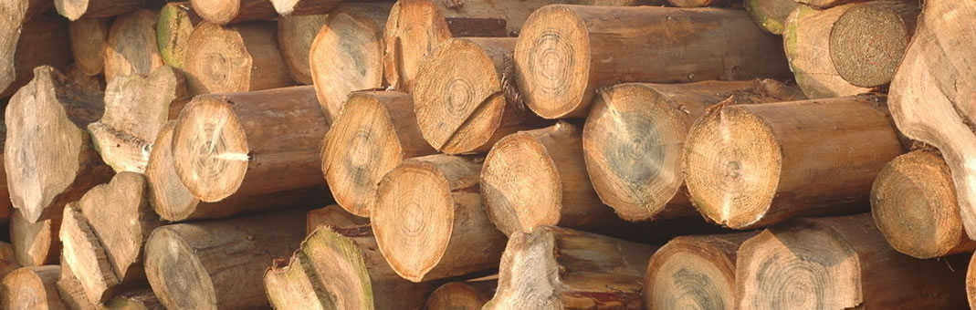 QQ商城焦點(diǎn)圖效果下載