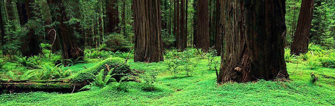 QQ商城焦點(diǎn)圖效果下載